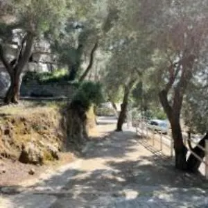 Poseidon Studio 2 Paleokastritsa Zewnętrze zdjęcie